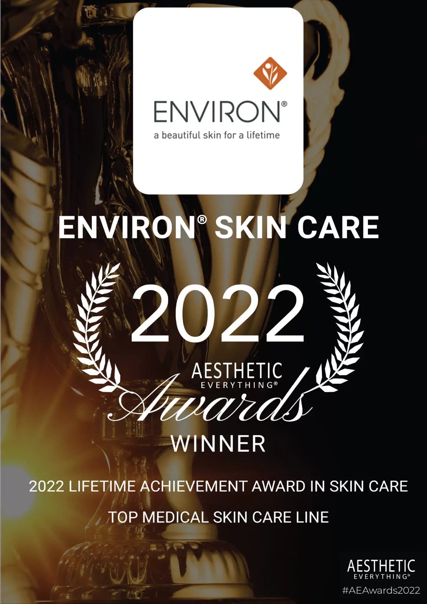 ENVIRON-AE-2022-A4-poster-scaled