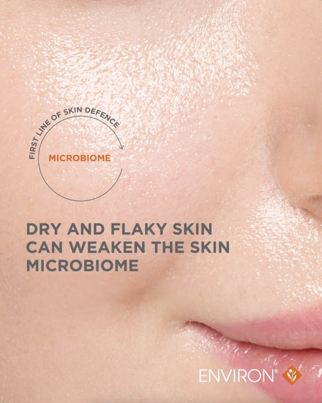 Social-Media-Posts-2023